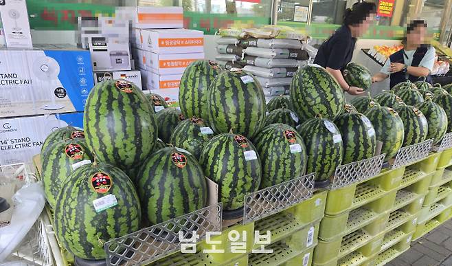 7일 광주 서구 한 마트에서 직원들이 수박을 진열하고 있다.