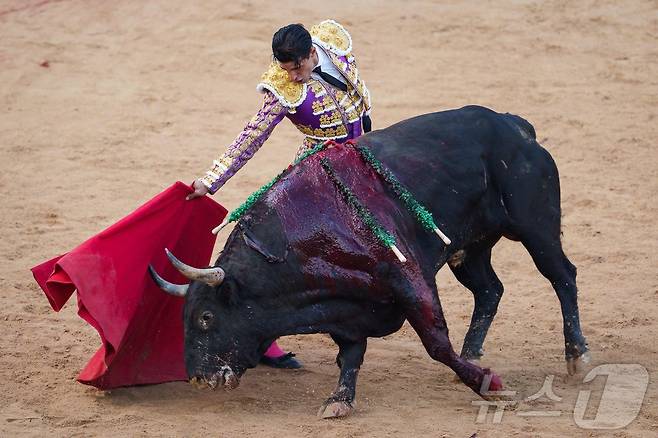 7일(현지시간) 스페인 팜프로나에서 열린 산 페르민 축제에서 투우 경기가 열리고 있다. ⓒ AFP=뉴스1