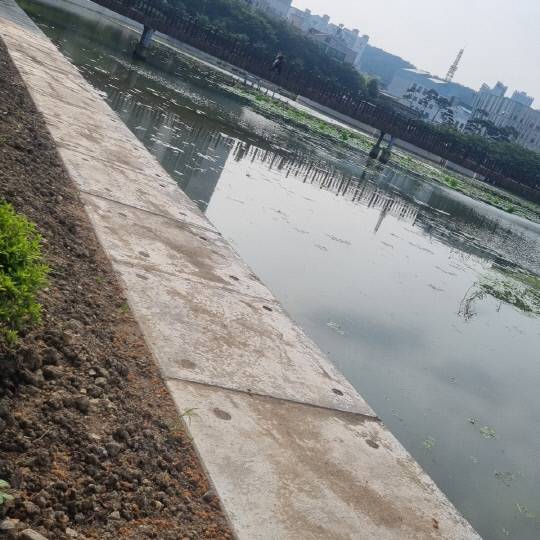 중앙호수공원변 배수관로