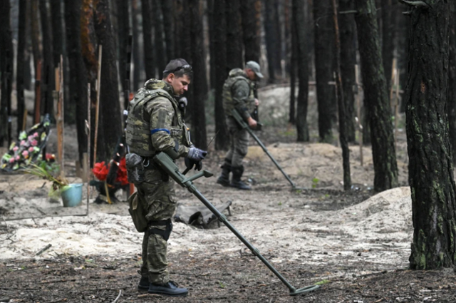 전쟁 초기 러시아가 점령했다가 퇴각한 우크라이나 동부 이지움시 외곽 숲에서 러시아군이 매설한 지뢰를 탐지하는 우크라이나 군인들. 러시아군은 숲과 도로뿐 아니라 시가지 공공건물과 민가 곳곳에 지뢰와 부비트랩을 설치한 뒤 퇴각했다. 로이터.