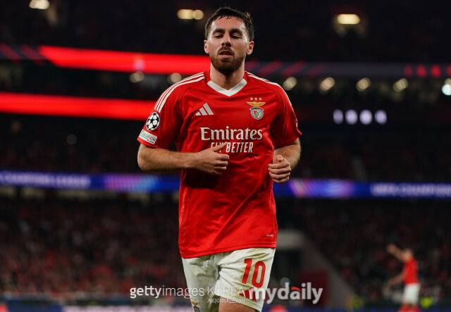 코크쿠/게티이미지코리아