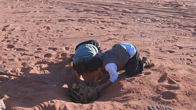 MBC에브리원 ‘위대한 가이드2’ 제공