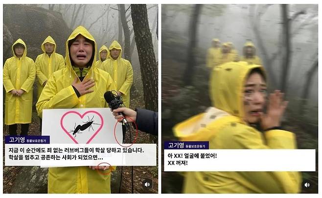 최근 소셜미디어에 러브버그 학살을 멈춰 달라는 동물보호 운동가의 인터뷰 사진이 확산했다. 이 사진은 AI로 만든 가짜로 밝혀졌다. /페이스북