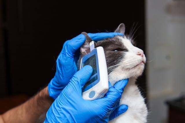 게티이미지뱅크