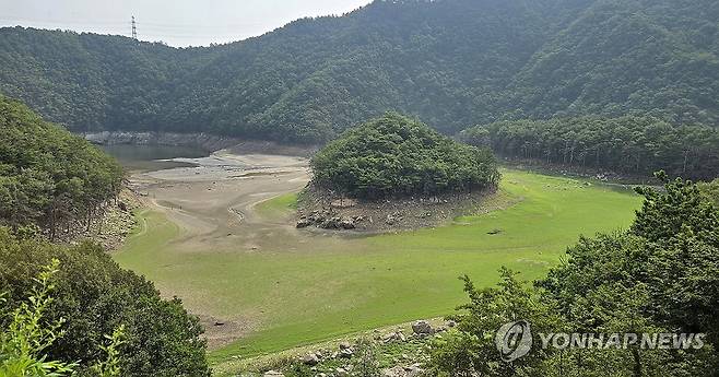 바닥 드러낸 강릉 식수원 오봉저수지 상류 (강릉=연합뉴스) 유형재 기자 = 장마철이지만 강원 동해안에는 마른장마로 가뭄이 지속돼 피해가 우려되는 가운데 7일 강릉시민 식수원인 오봉저수지 상류가 바닥을 드러내고 있다.
오봉저수지 저수율은 현재 33.3%로 가뭄이 극심했던 작년의 52.2%, 평년의 65%보다도 매우 낮은 수준이다. 2025.7.7 yoo21@yna.co.kr