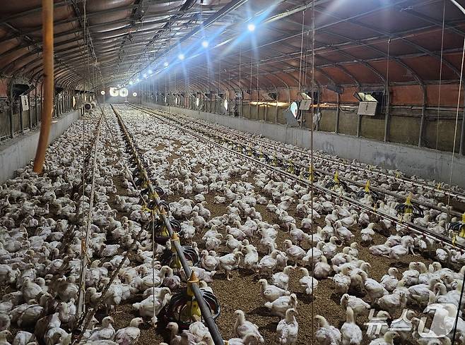 진주시 일반성명의 한 양계장에 공기 순환시설이 가동되고 있다. 2025.7.9/뉴스1 한송학기자