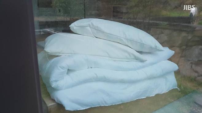 사진은 기사 특정 내용과 관련 없음