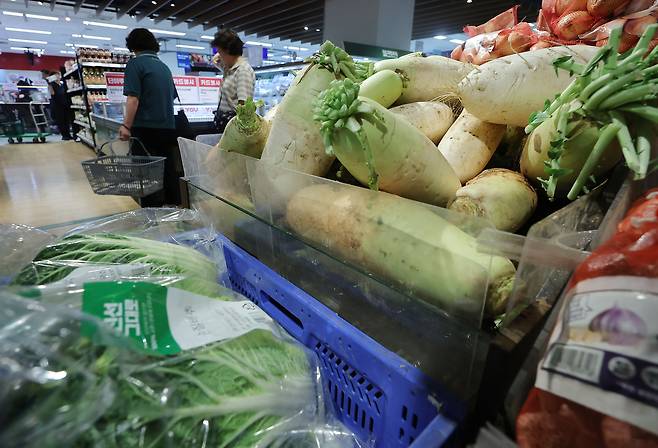 지난 3일 서울의 한 대형 마트에 무와 배추가 진열되어 있다. 연합뉴스