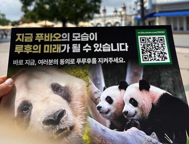 중국 당국을 향한 푸바오 생육환경 개선 시위 문구에 두 쌍동이 동생들도 등장했다.