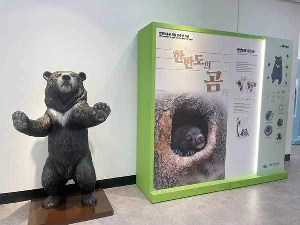 한반도의 곰 전시회.