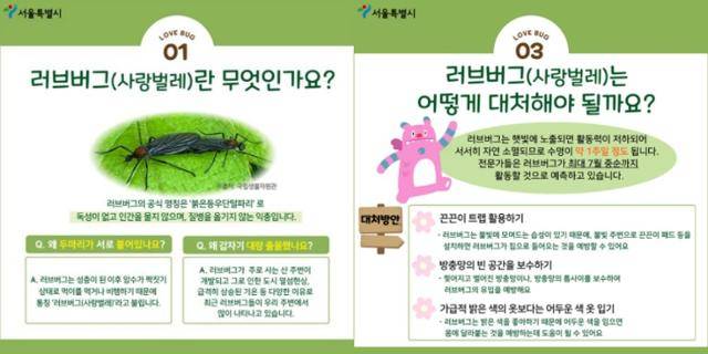 서울시, '내 손안의 서울'