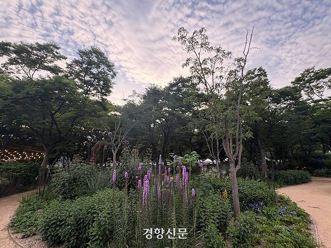 독일 마크 크라이거 작가의 애비에이터스 가든.