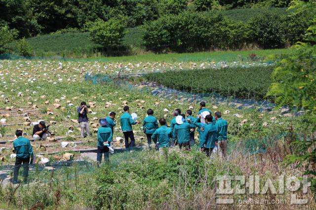 ▲ 주말을 반납한 영주시청 관련 국장 및 과장들이 물부족으로 피해를 호소하는 농가를 방문해 피해상황을 파악하고 있다. ⓒ 프레시안(최홍식)