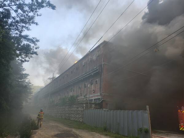 지난 5월 19일 합천군 율곡면 한 2층짜리 돈사에서 불이 나 소방 대원들이 진화작업을 하고 있다. /경남소방본부