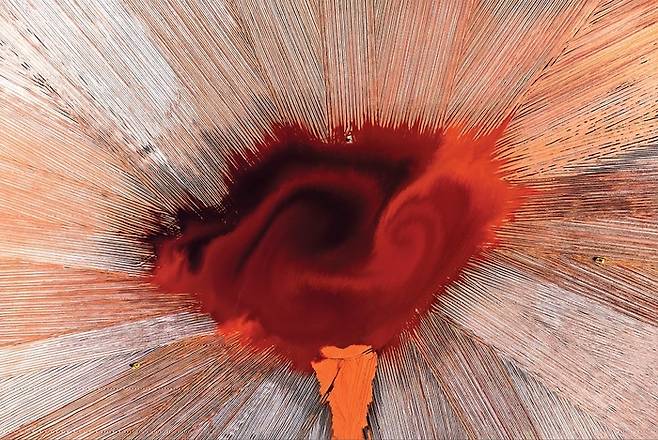 '올해의 국제 항공 사진작가 2025' 수상작. 사진=Colin Leonhardt/International Landscape Photographer of the Year