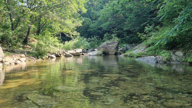 ▲ 춘천 용화산계곡. 강원도 보건환경연구원 제공
