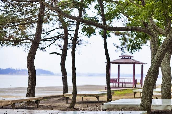 무안 홀통해수욕장 /사진-전남도