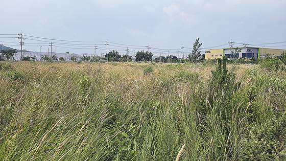 8일 오후 방문한 충남 서천군 장항국가생태산업단지 전경. 사업비 3263억원을 들여 275만㎡규모로 조성됐지만, 가동기업은 24개(가동률 58.5%)에 그친다. 사진은 풀이 무성한 장항산단 미분양 부지 전경. 오삼권 기자