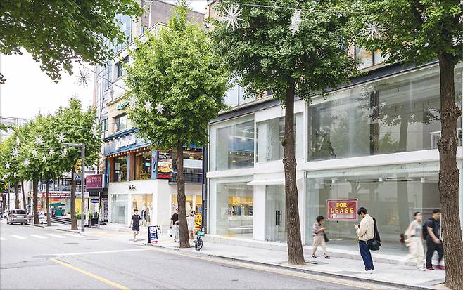 서울 강남구 신사동 가로수길 중심 거리는 한때 서울 강남의 대표 ‘핫플레이스’로 꼽혔지만, 지금은 활기가 사라진 모습이다. (윤관식 기자)