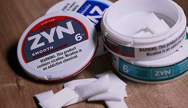 니코닌 파우치 제품. 연합뉴스