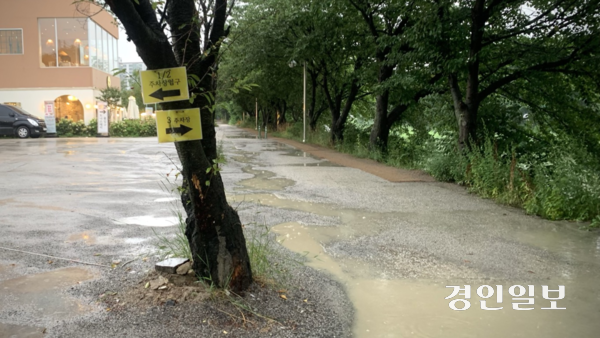 사고 지점 인근 한 카페 주차장. 바로 앞에 하천(황구지천)이 흐르고 있으나, 차량 진입을 막을 펜스나 경계석 등 안전시설은 전혀 설치돼 있지 않다. 2025.7.14 /유혜연기자 pi@kyeongin.com