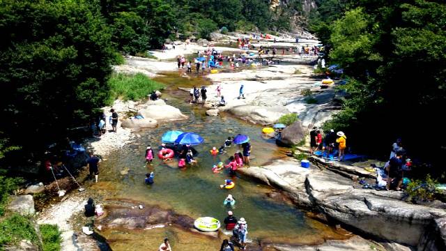 ▲ 두타산 입구, 동해시 무릉계곡의 여름