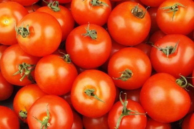 /사진=게티이미지뱅크