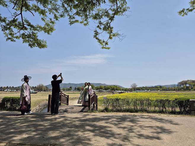 숲 사이로 한복을 차려입은 외국인들이 숲을 배경으로 사진을 찍는다.