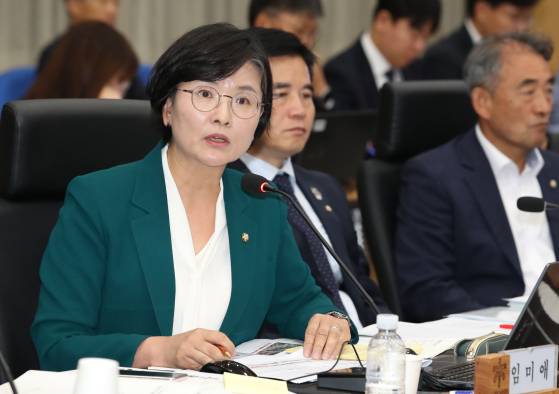 임미애 더불어민주당 위원이 2024년 10월 16일 정부대전청사 대회의실에서 열린 국회 농림축산식품해양수산위원회 산림청 국정감사에서 질의하고 있다. 뉴스1