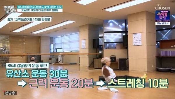 TV조선 ‘퍼펙트라이프’ 캡처