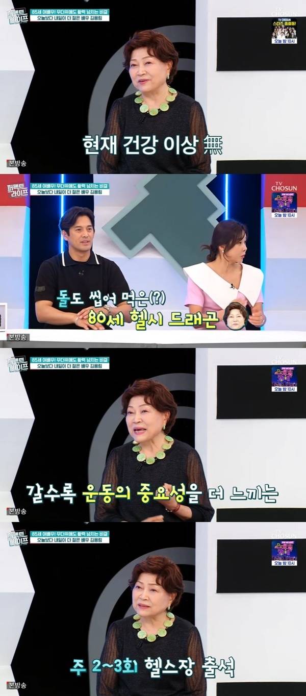 TV조선 ‘퍼펙트라이프’ 캡처