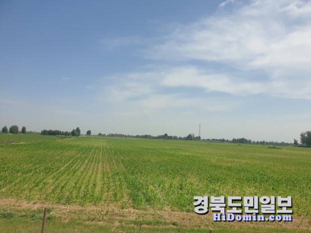 4박 5일 일정 여행 내내 끝없이 펼쳐진 광활한 대지 위에 녹색으로 물든 옥수수밭이 한없이 이어지고 있다.