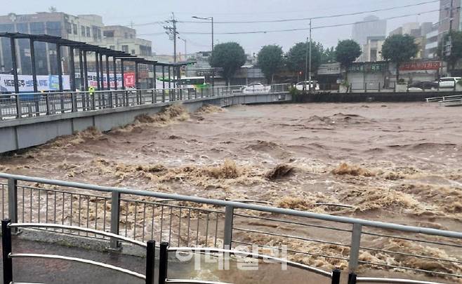 기습 폭우로 범람위기에 놓인 광주천 (사진=연합뉴스)