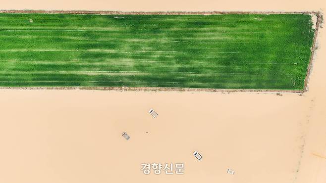 충남 서산시 석림동 청지천 일대. 서산|성동훈 기자