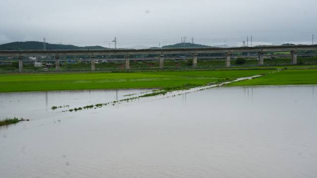 17일 쏟아진 폭우로 충남 예산의 논이 물에 잠겼다. 사진=박현석 기자