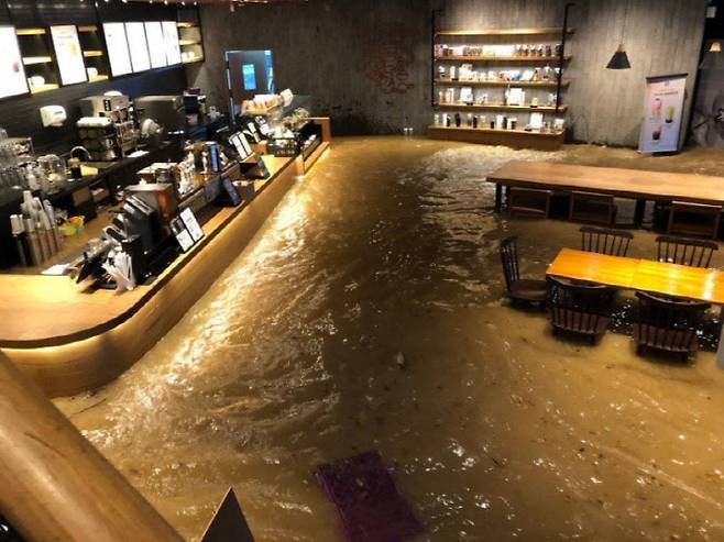 사진=엑스(X구 트위터)