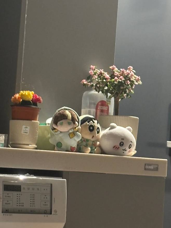 유우키5.jpg 일본 일상 유튜버 \'유우키\' 최근 근황