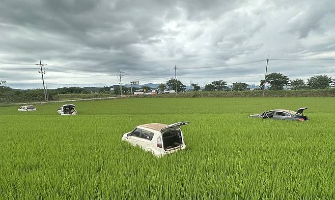 17일 새벽 침수된 차량들이 청지천 제방 옆 논에 방치돼 있다. 송인걸 기자