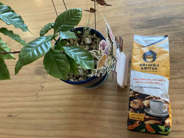 ▲ 르완다 고릴라 커피