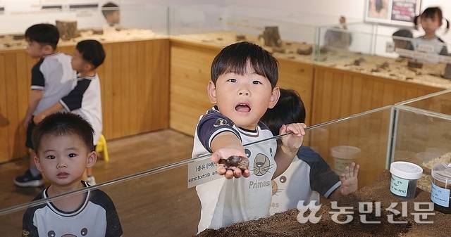아이들의 사랑을 듬뿍 받고 있는 곤충 체험 공간. 한 아이가 장수풍뎅이를 들어 보이며 즐거워하고 있다.