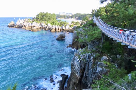 강원도 동해시 추암 촛대바위 출렁다리. 오밀조밀 모인 바위들은 능파대다. 김홍준 기자