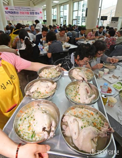 절기상 초복인 20일 강릉영동대에서 지역어르신 건강기원 오찬 행사가 열려 참석한 어르신들이 삼계탕을 먹고 있다. 이날 행사는 봉사단체인 ‘십시일반(회장: 변낙선)’ 과 예비사회적기업 숲과 함께, 강릉영동대 등이 주최 주관해 올해 두 번째로 지역어르신들에게 삼계탕을 대접했다. 강릉=권태명기자