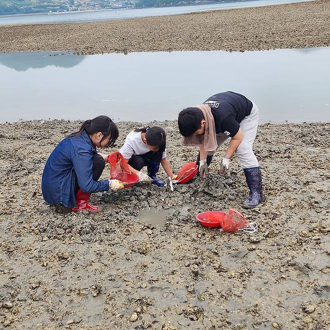 전남도가 온 가족이 다채로운 체험 프로그램과 먹거리를 즐길 수 있는 고흥 별나로마을을 7월의 농촌체험휴양마을로 선정했다. 사진은 별나로마을에서 갯벌 체험을 하고 있는 아이들의 모습.<전남도 제공>