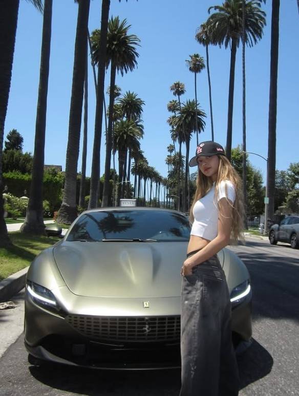 리사 소셜 미디어