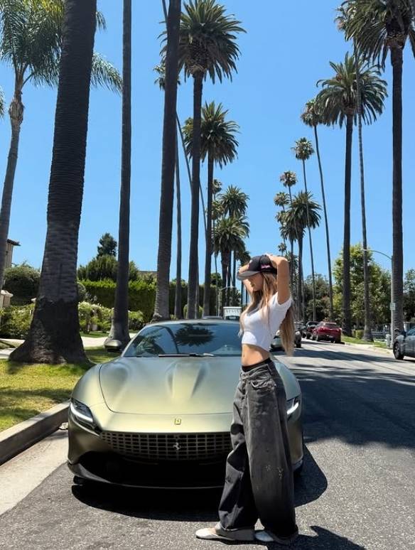 리사 소셜 미디어