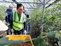 더불어민주당 정청래 당 대표 후보가 22일 전남 나주시 다시면의 한 블루베리농장에서 수해 복구 작업하고 있다. 연합뉴스