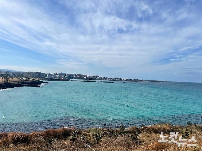 제주도 풍경. 강지윤 기자