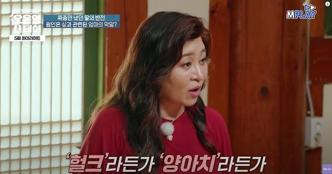 20년간 엄마에게 막말을 들었다는 딸의 사연이 소개됐다. 유튜브 채널 '엠플레이' 영상 캡처