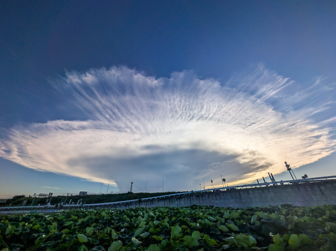 21일 일본에서 발견된 모루구름. 엑스(X) 캡처