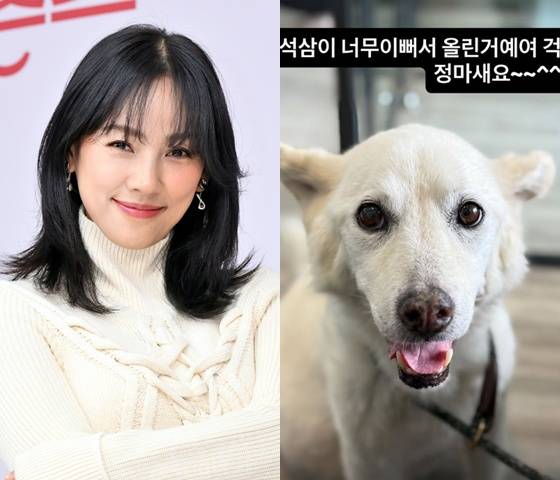 /사진=KBS, 이효리 SNS